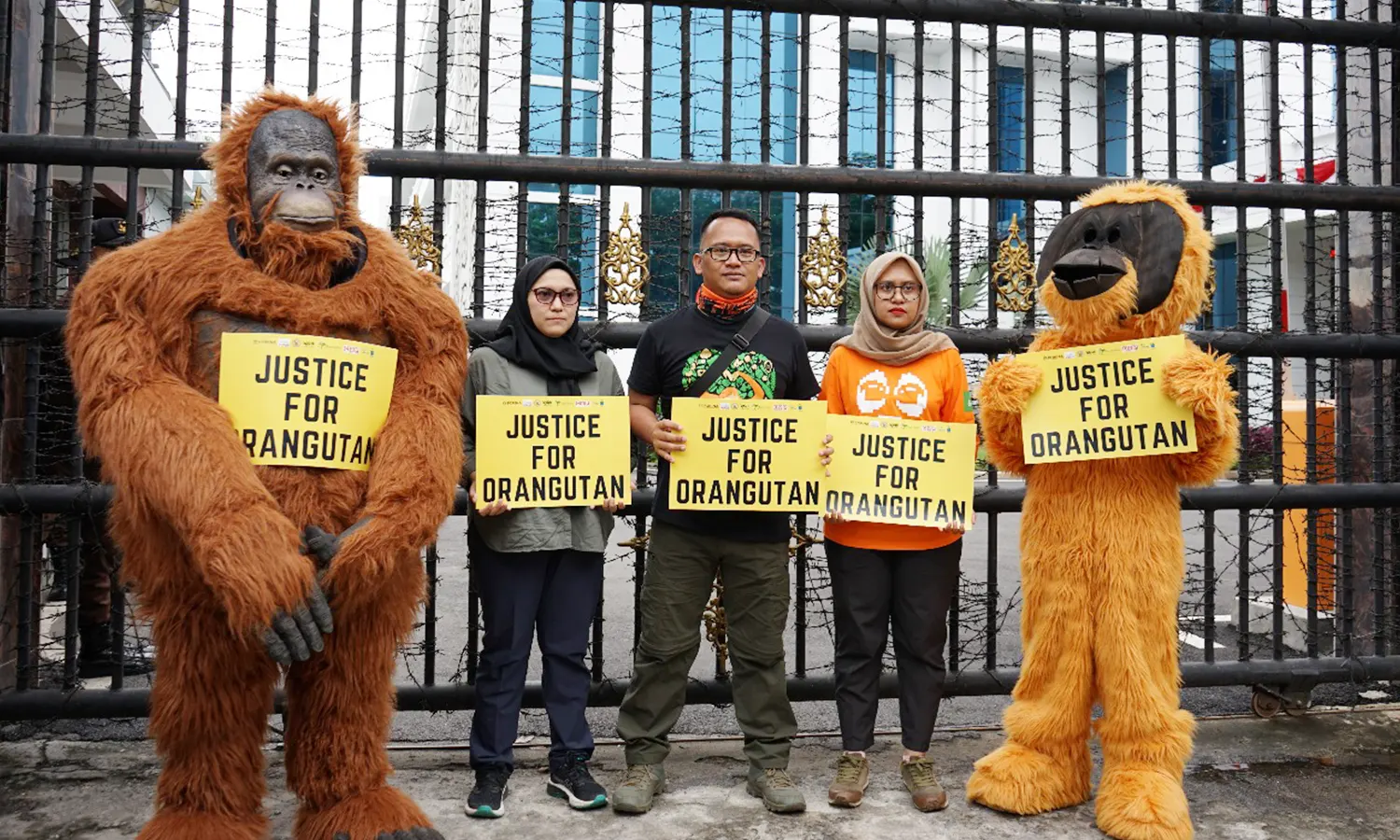 Protes Vonis Bupati Langkat soal Kepemilikan Satwa Liar, Orang Utan Datangi Kejatisu