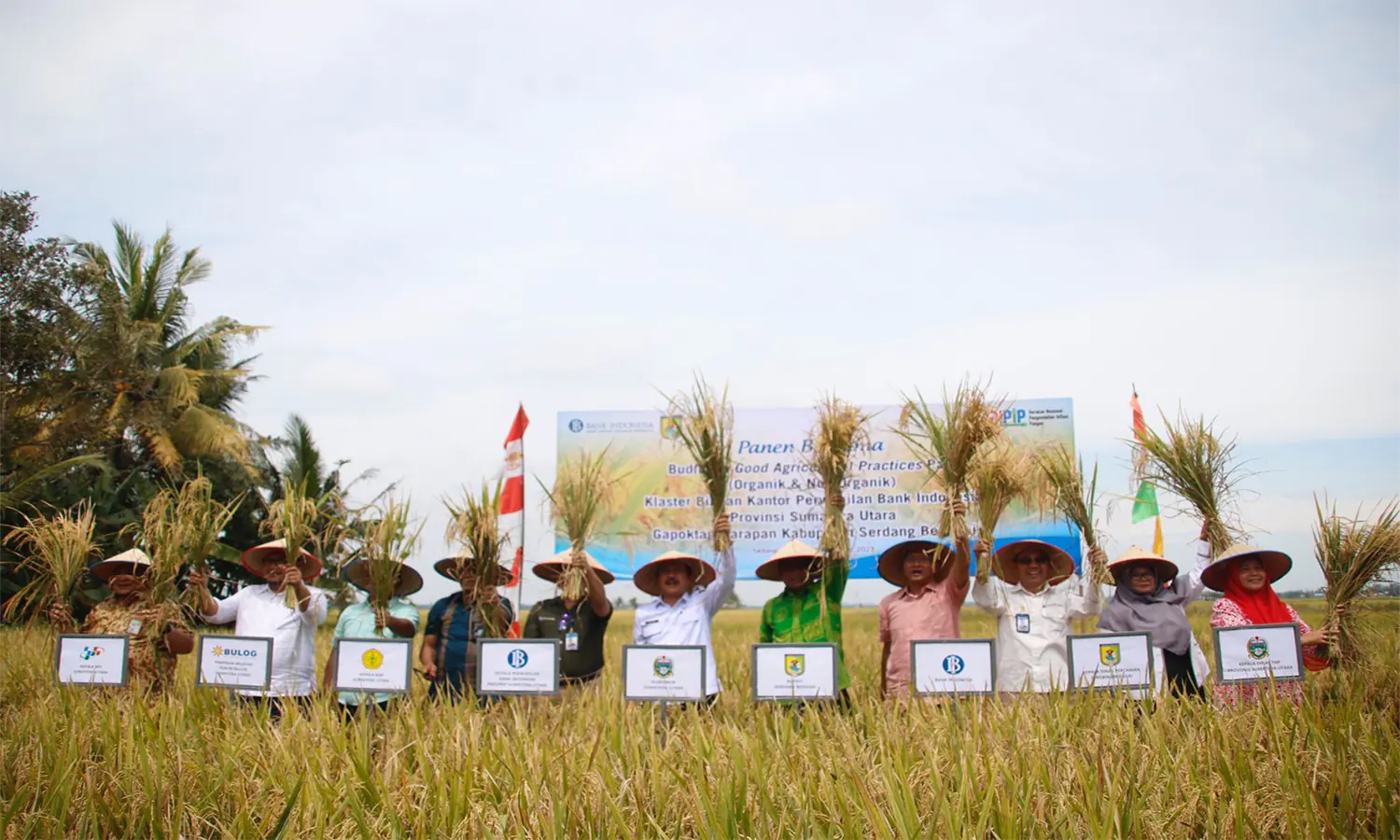 Sergai Produksi 431 Ribu Ton Gabah dan Menjadi Lumbung Padi Sumut