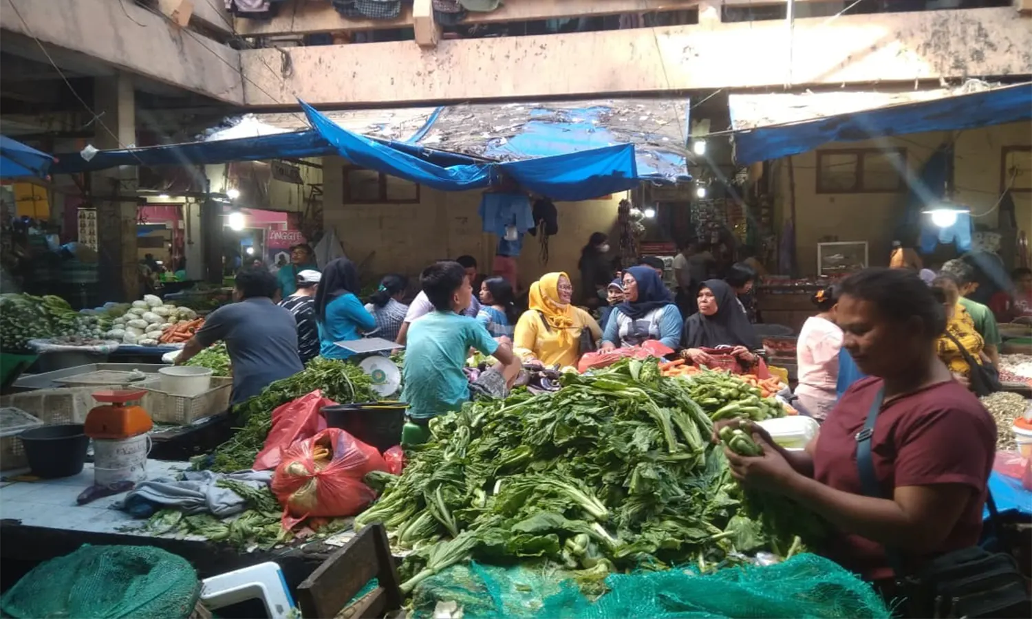Daun Seledri Tembus Rp40 Ribu Perkilogram