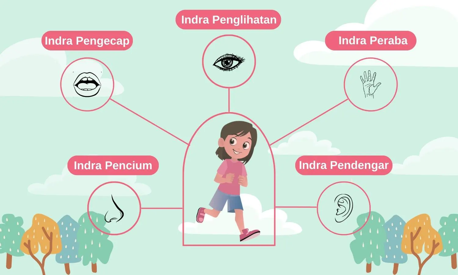 5 Panca Indera Manusia: Fungsi, Gangguan, dan Perkembangannya dari Anak-anak hingga Dewasa