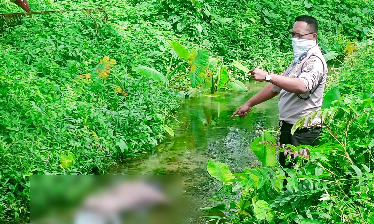 Polsek Bangun Evakuasi Mayat Di Aliran Parit Kebun Kelapa Sawit