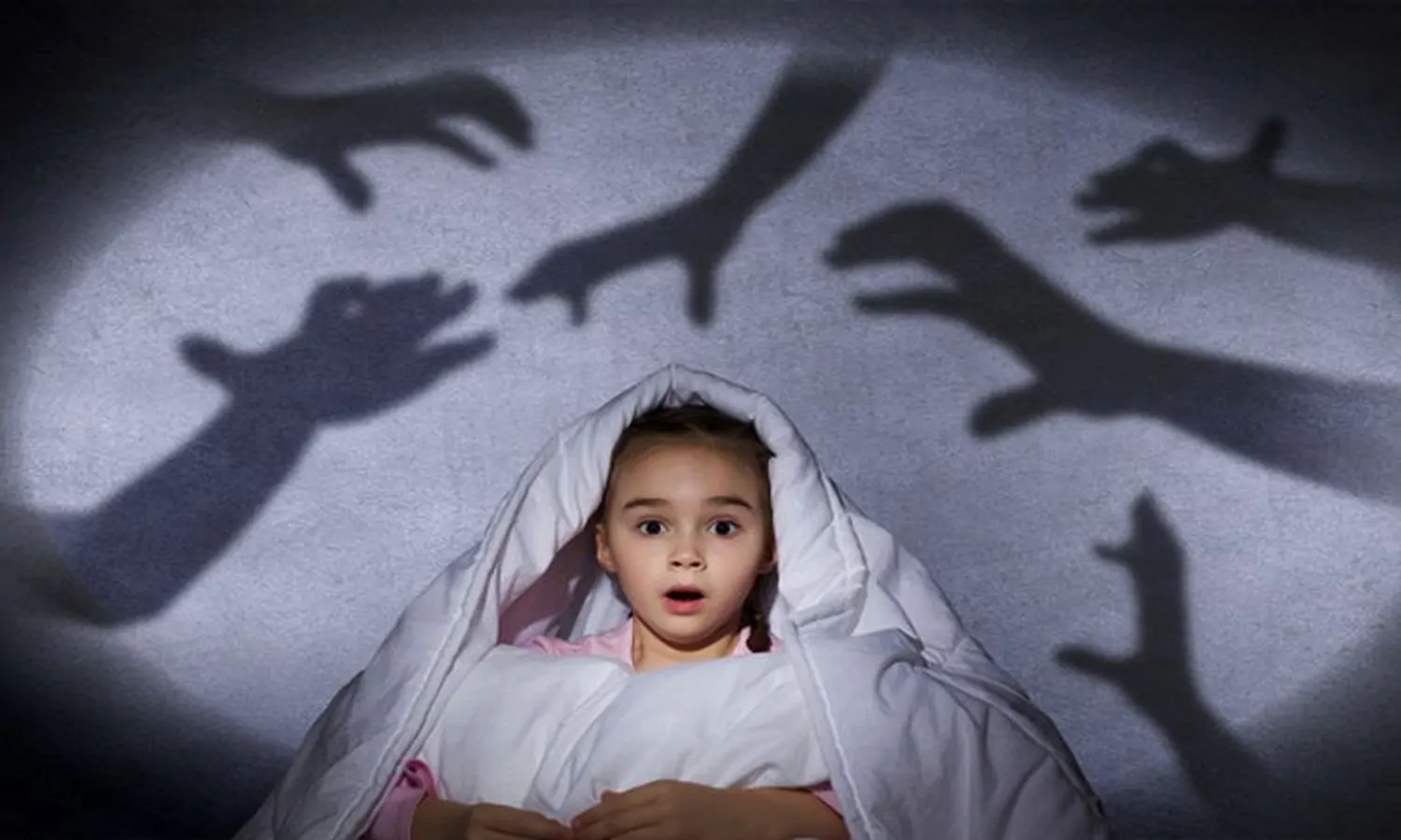 Phobia Adalah: Pengertian, Jenis Jenis, Penyebab, Gejala Hingga Cara Mengatasi