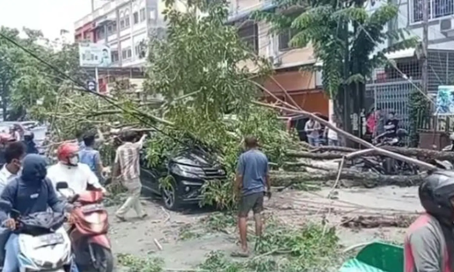 Heboh! Pohon Besar Timpa Satu Unit Mobil di Medan