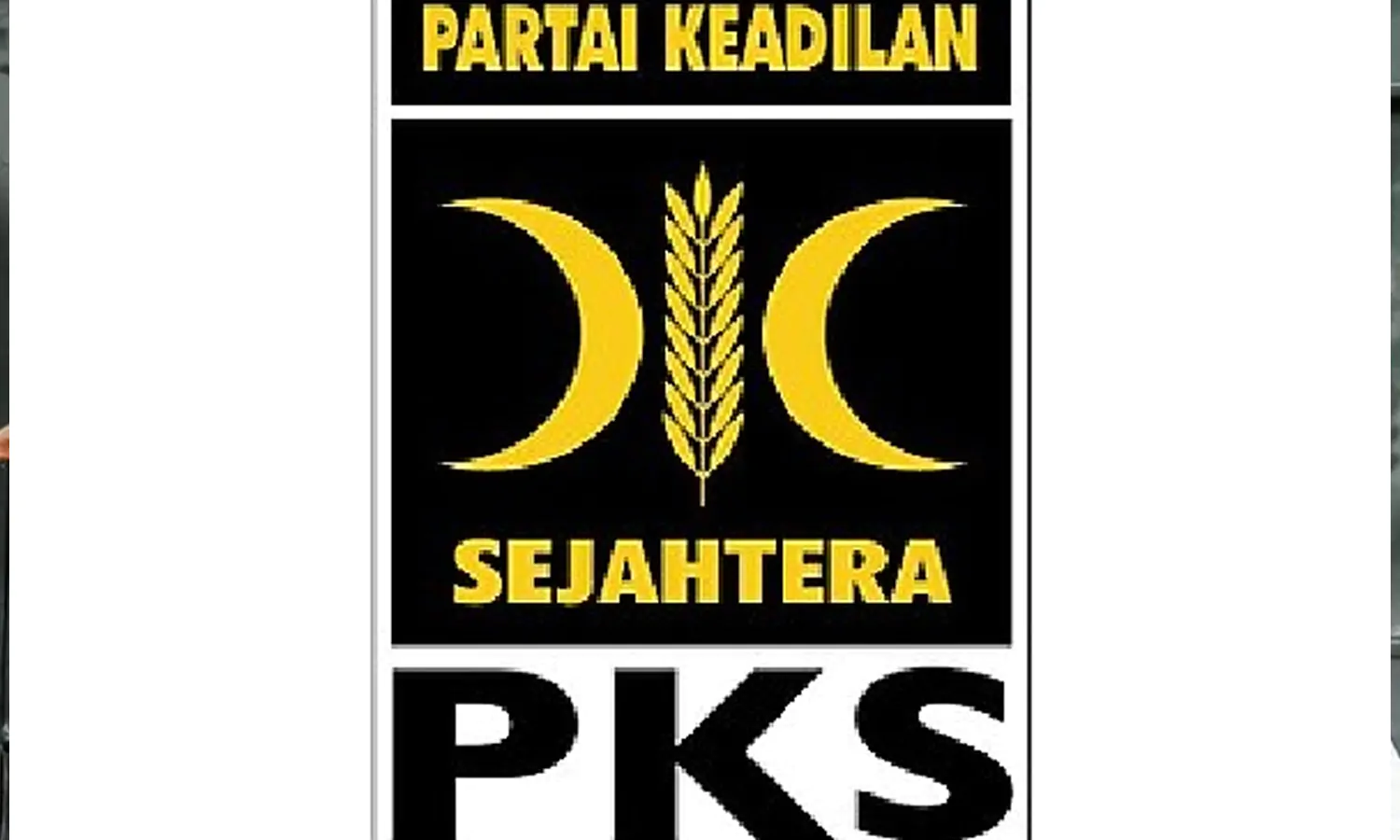 PKS Minta Maaf Usai Persilakan Kader Partai Poligami