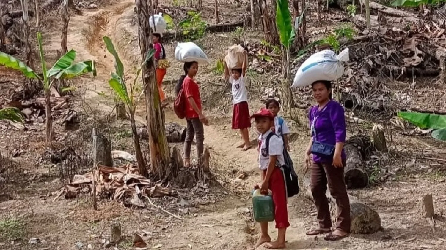 Tak Dapat Perhatian, Puluhan Keluarga Hidup Menyedihkan di Hutan Tapsel