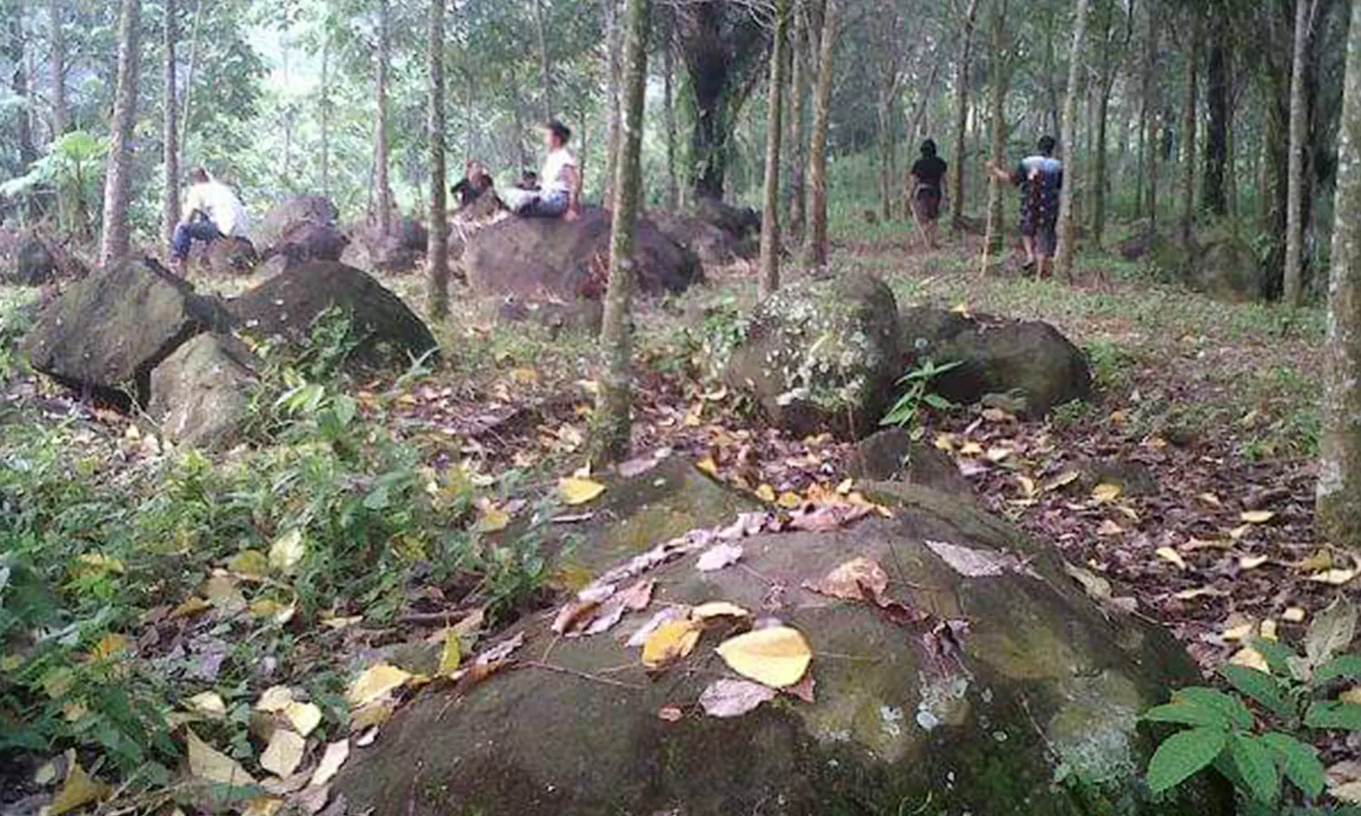 Temuan Punden Berundak di Serdang Bedagai, Arkeolog: Perlu Penelitian Lanjutan dan Ekskavasi