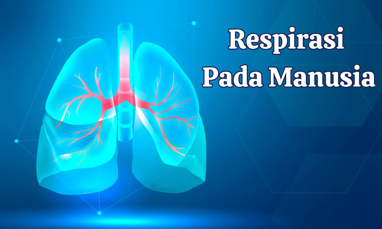 Apa Itu Respirasi pada Manusia? Berikut Pengertian, Organ, Fungsi, dan Cara Kerjanya