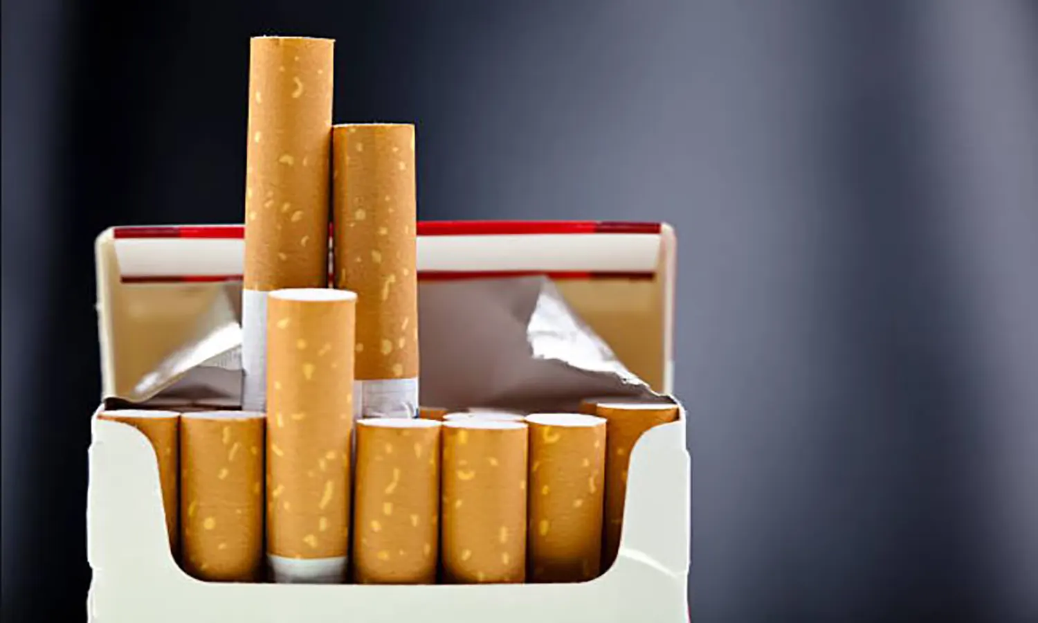 Korupsi Cukai Rokok di Tanjung Pinang Rugikan Negara Hampir Rp300 Miliar