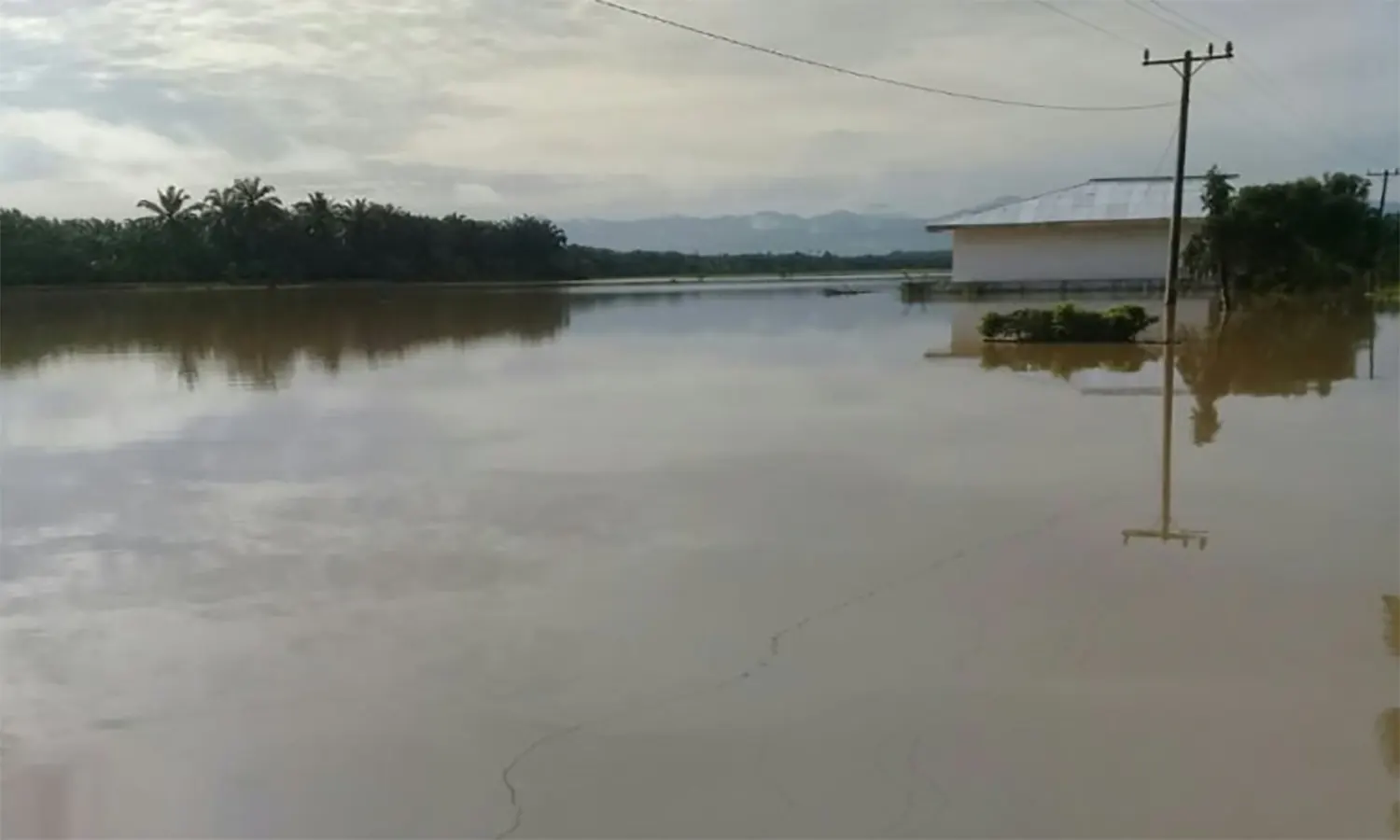 Imbas Banjir di Sumut, Ratusan Hektare Tanaman Pangan Rusak