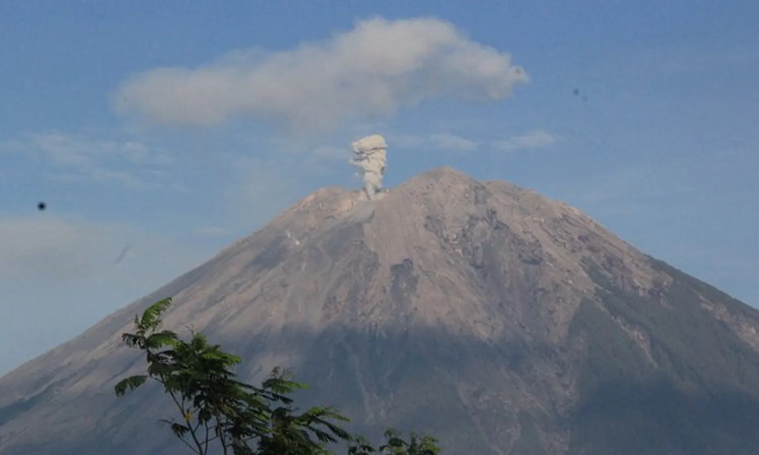 Status Gunung Semeru Turun dari Awas menjadi Siaga