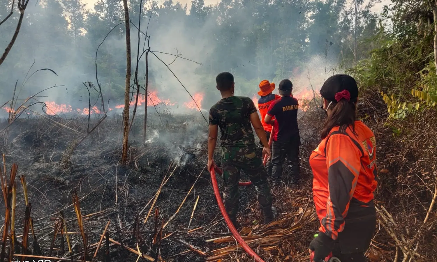 7 Wilayah di Indonesia Berstatus Siaga Alami Kekeringan dan Kebakaran Hutan