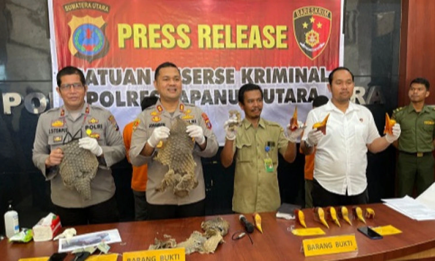 Jual Beli Sisik Trenggiling, Polisi Amankan 2 Pria di Taput
