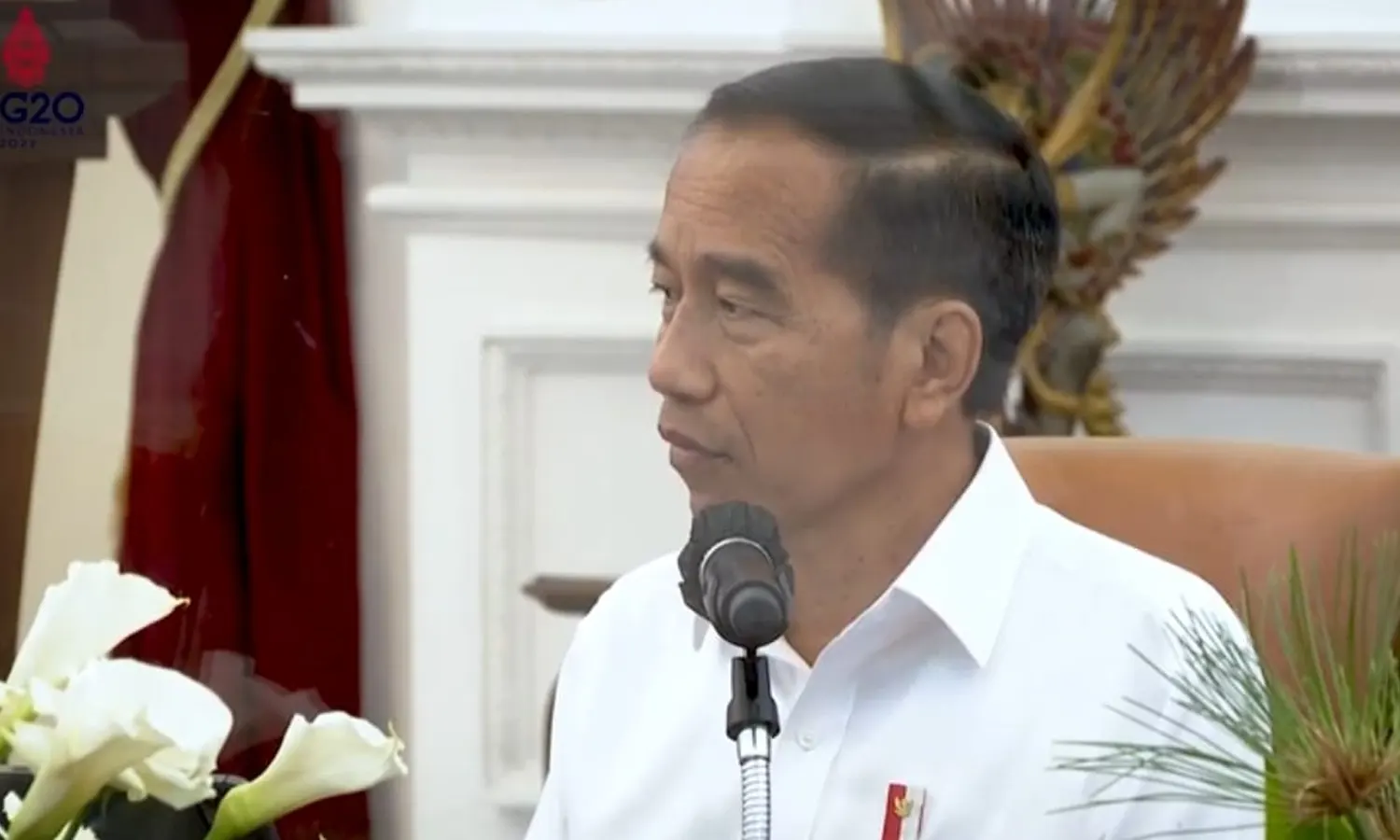 Terima Banyak Keluhan Soal Pengurusan Visa, Jokowi Ancam Ganti Pejabat Ditjen Imigrasi Indonesia