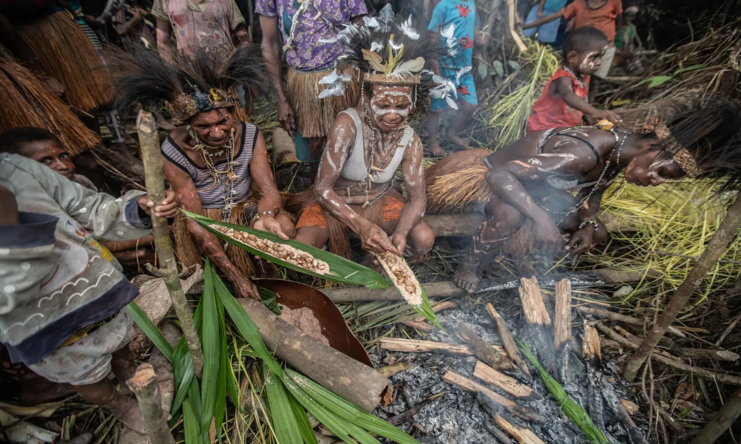 Tanah Adat Bakal Dicaplok Perusahaan Sawit, Suku Awyu Boven Digoel Melawan