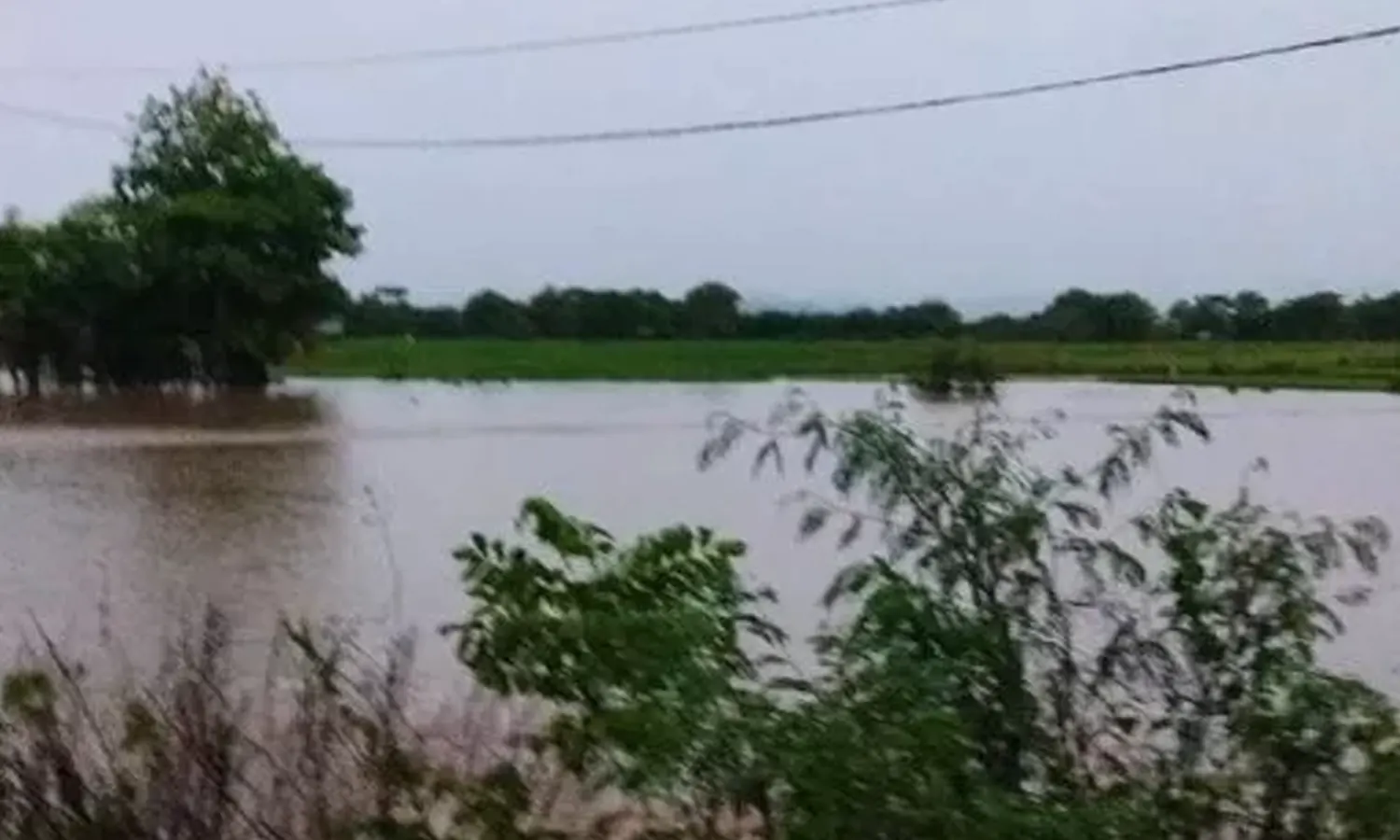 Kabupaten Sumbawa Dilanda Banjir: Pemukiman, Sawah, dan Ternak Warga Ikut Terdampak