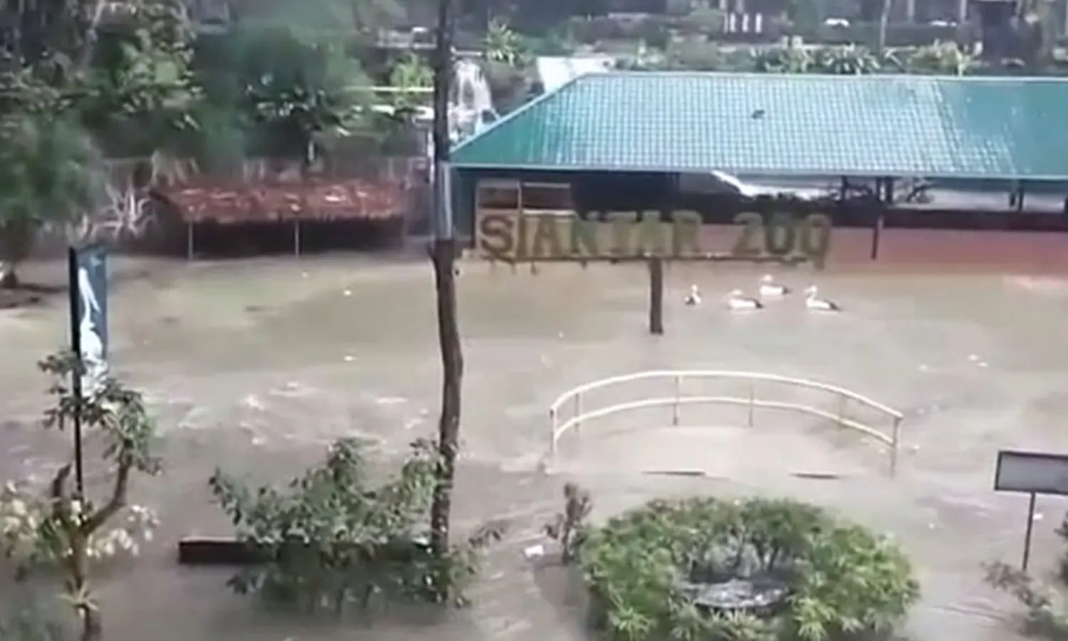 Siantar ZOO Kebanjiran, Warga Khawatir Buaya Lepas