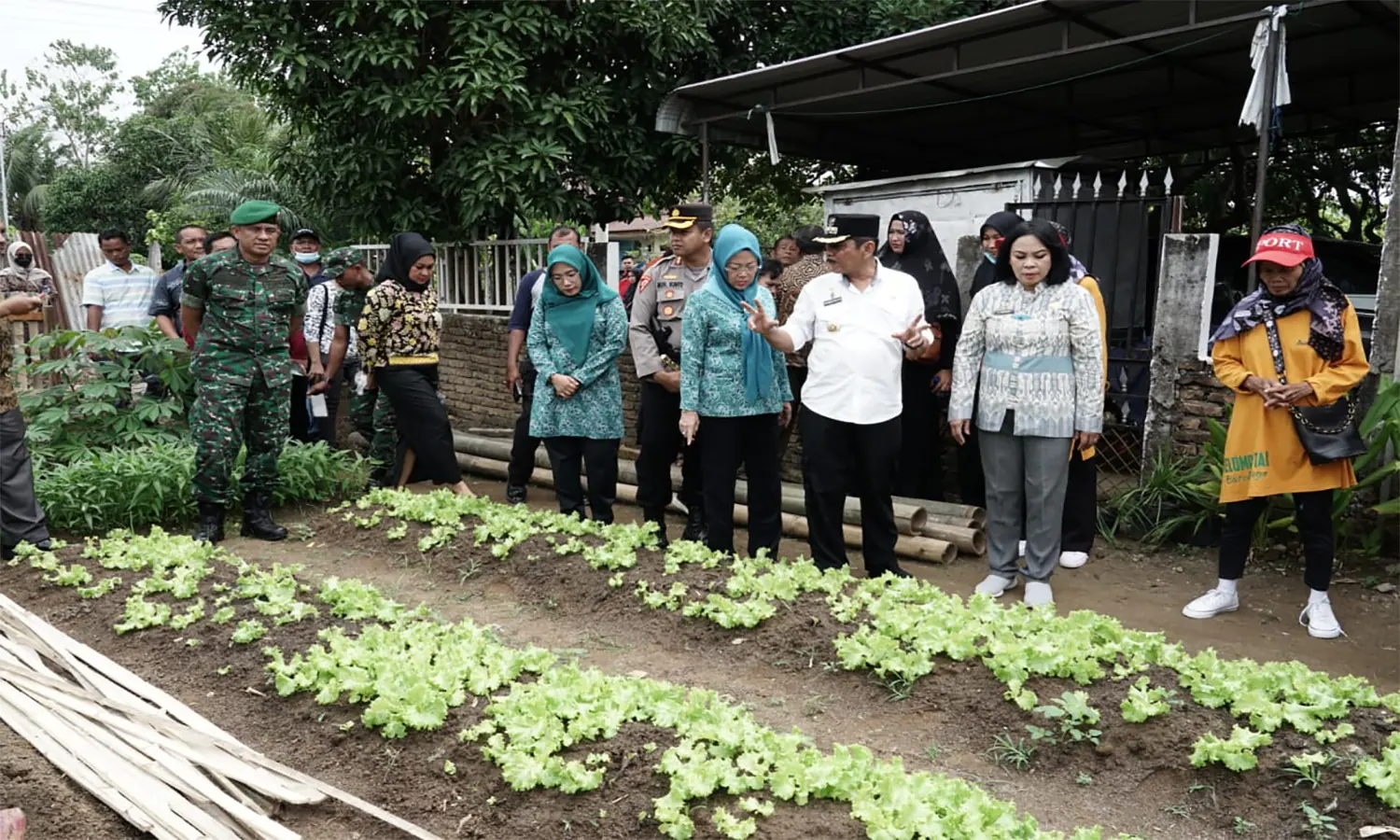 Antisipasi Inflasi dan Cegah Stunting Lewat Gerakan Tanam Tanaman Cepat Panen