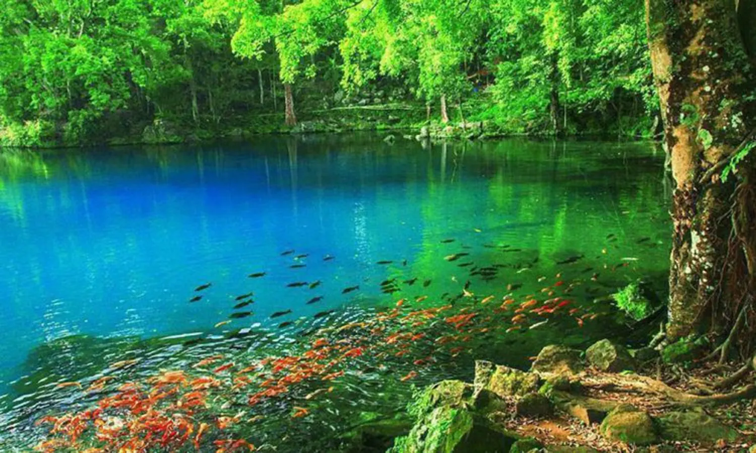 10 Tempat Wisata di Kuningan Terbaru yang Lagi Hits