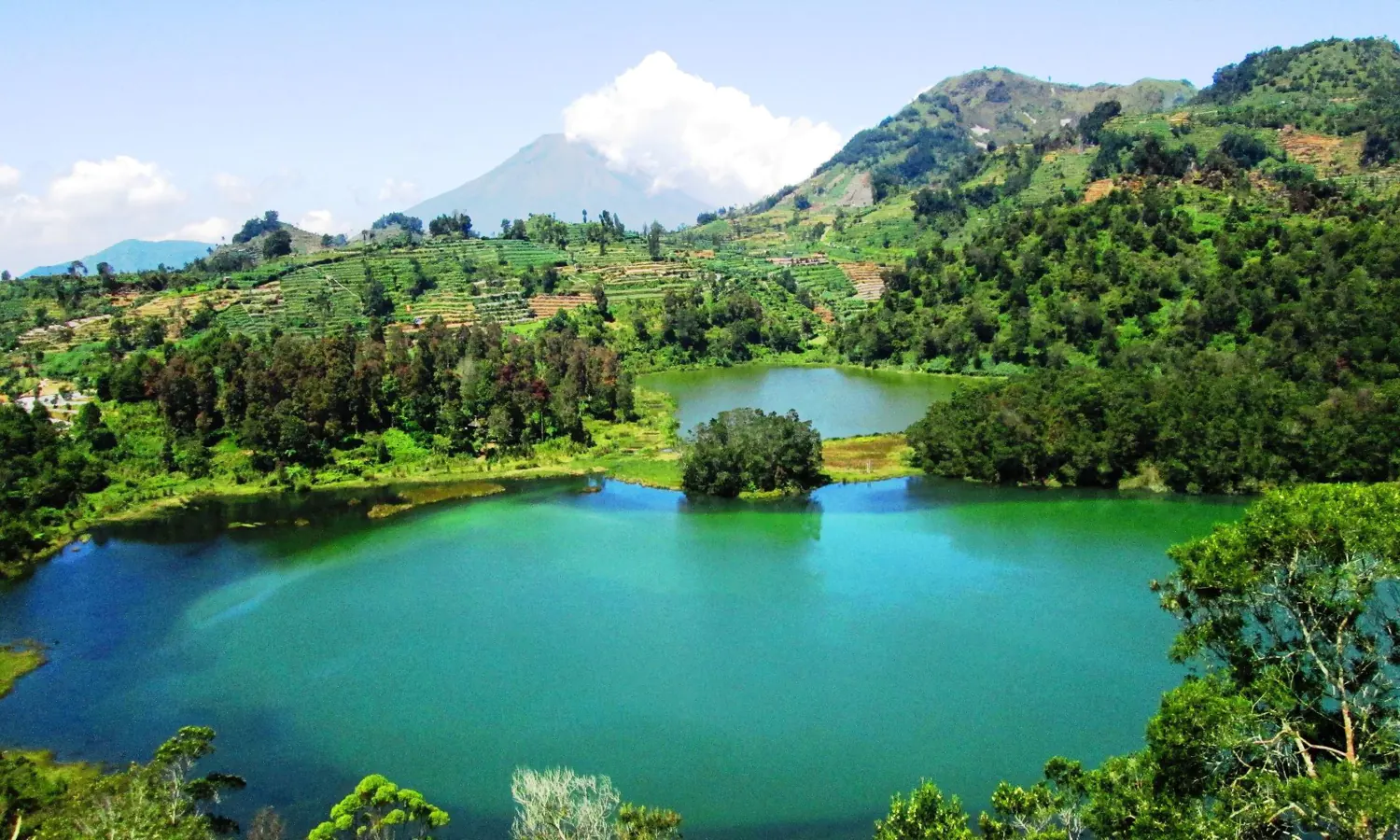 Menikmati Pesona Telaga Warna Puncak, Destinasi Wisata Tersembunyi di Bogor
