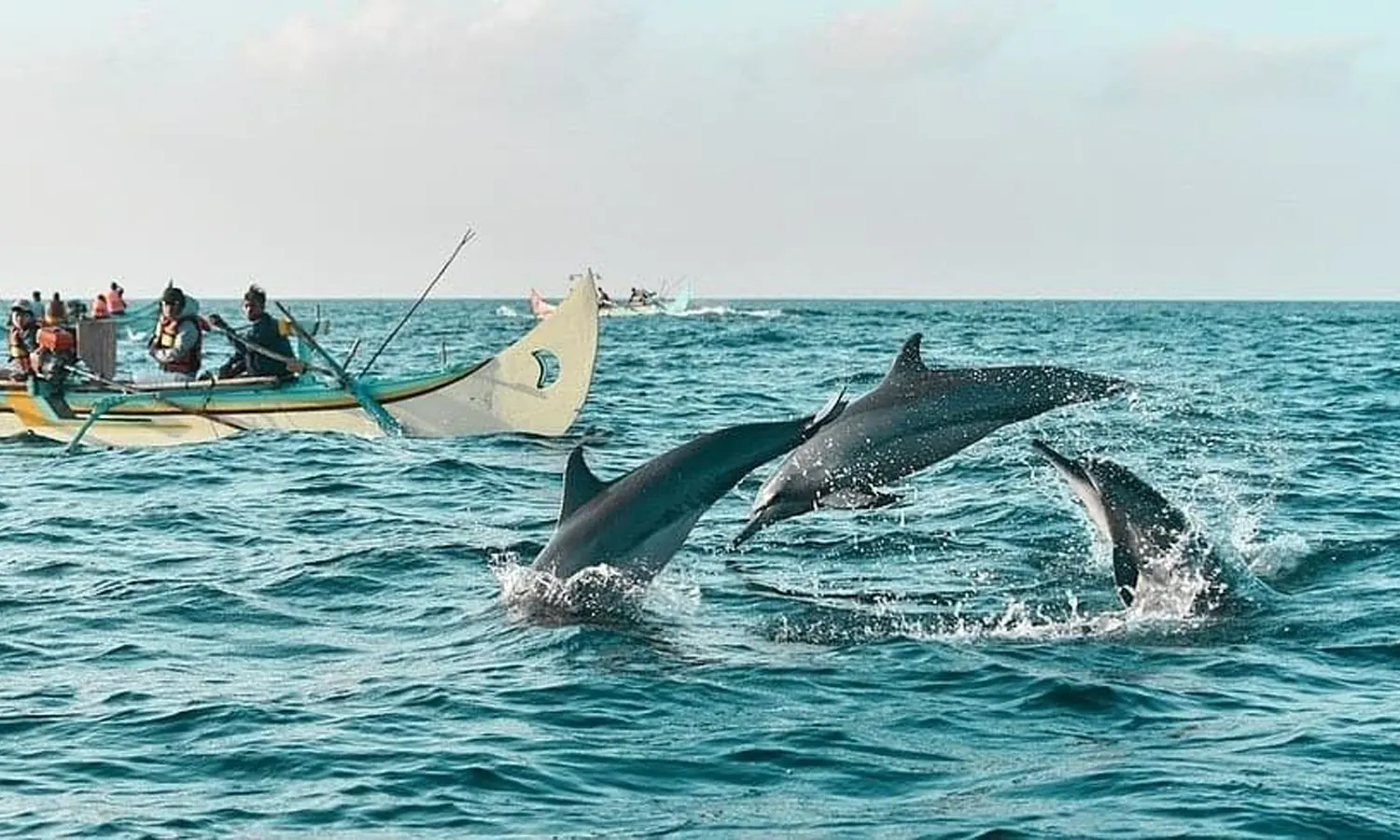 Teluk Kiluan: Daya Tarik, Harga Tiket Masuk, dan Lokasinya