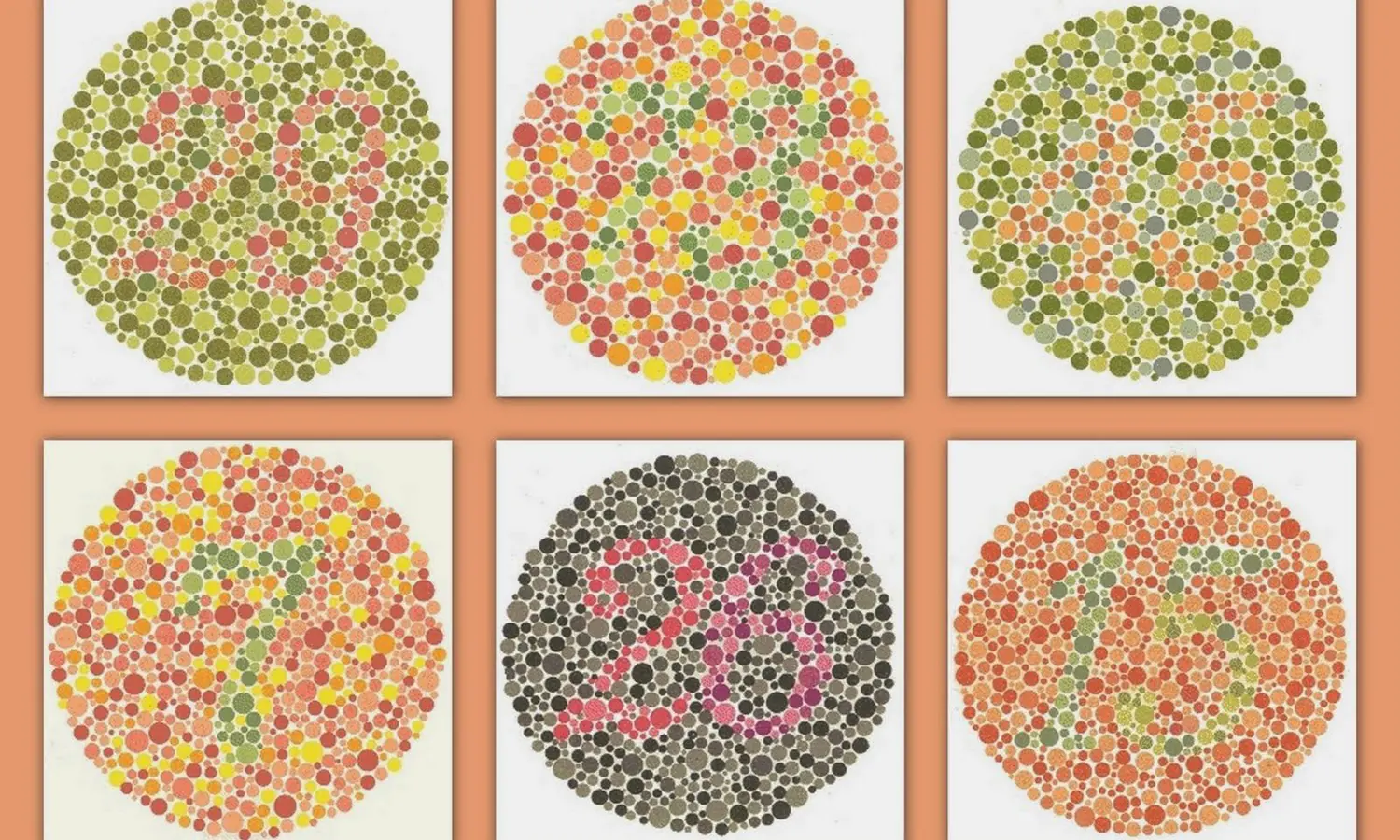 5 Rekomendasi Aplikasi Tes Buta Warna Terbaik