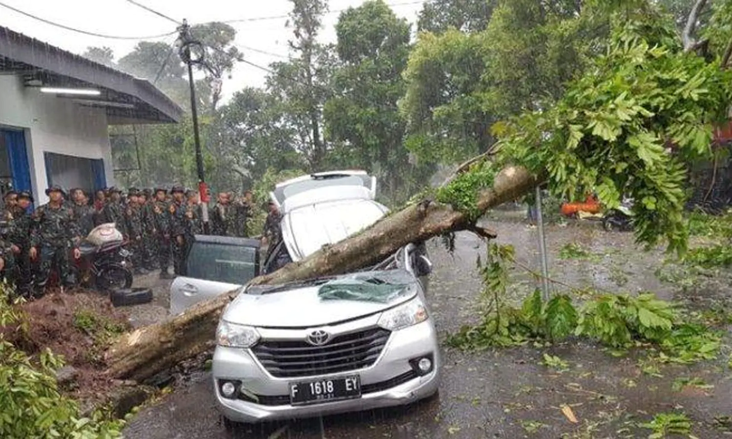 Mobil Tertimpa Pohon Tumbang, Begini Caranya Mendapat Ganti Rugi