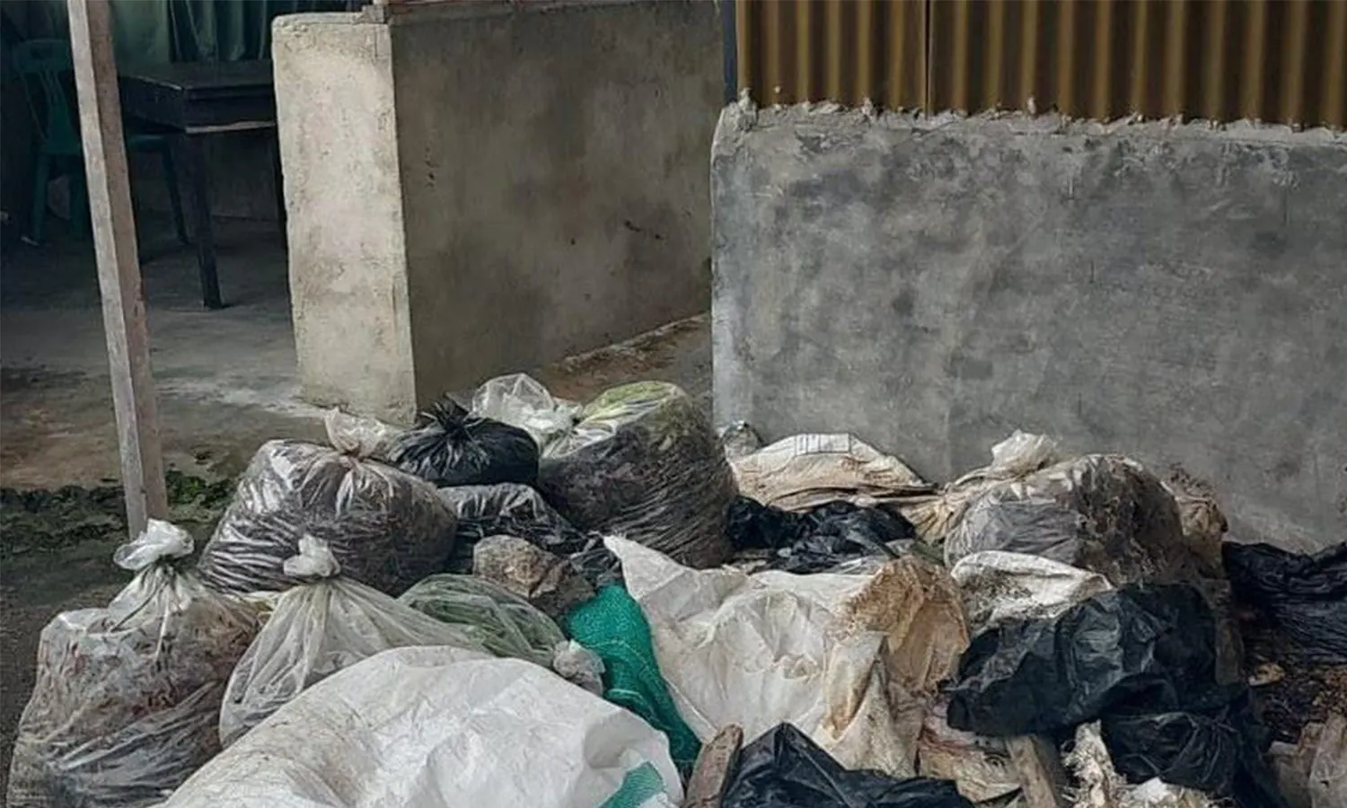Budidaya Maggot BSF di Pematang Siantar Jadi Solusi Pengelolaan Sampah Organik dan Peluang BisnisÂ 