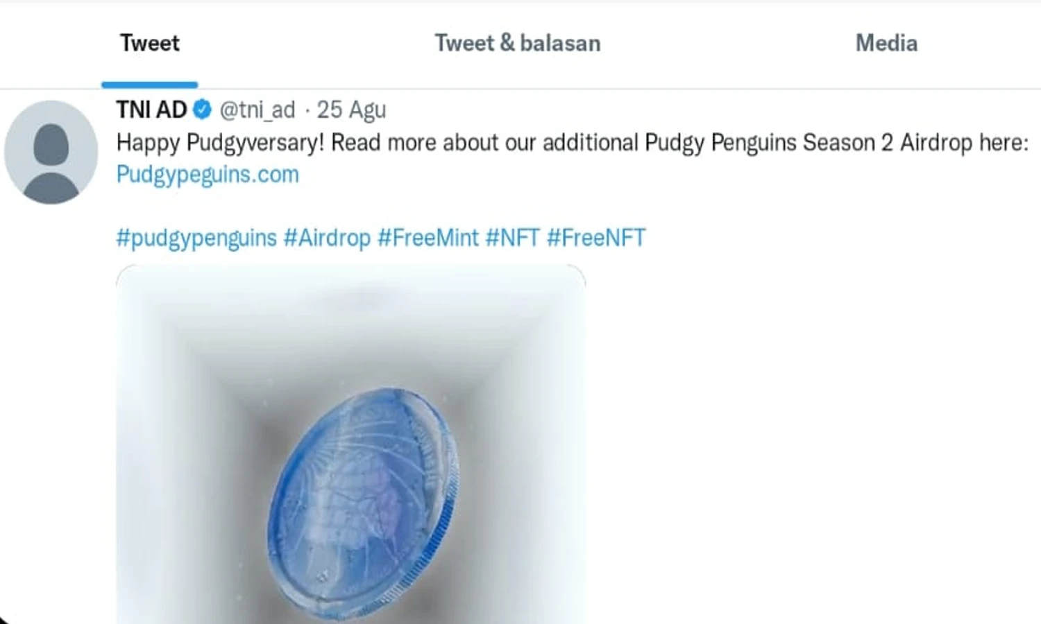 Akun Twitter TNI AD Diretas, Ini Tanggapan Kadispenad