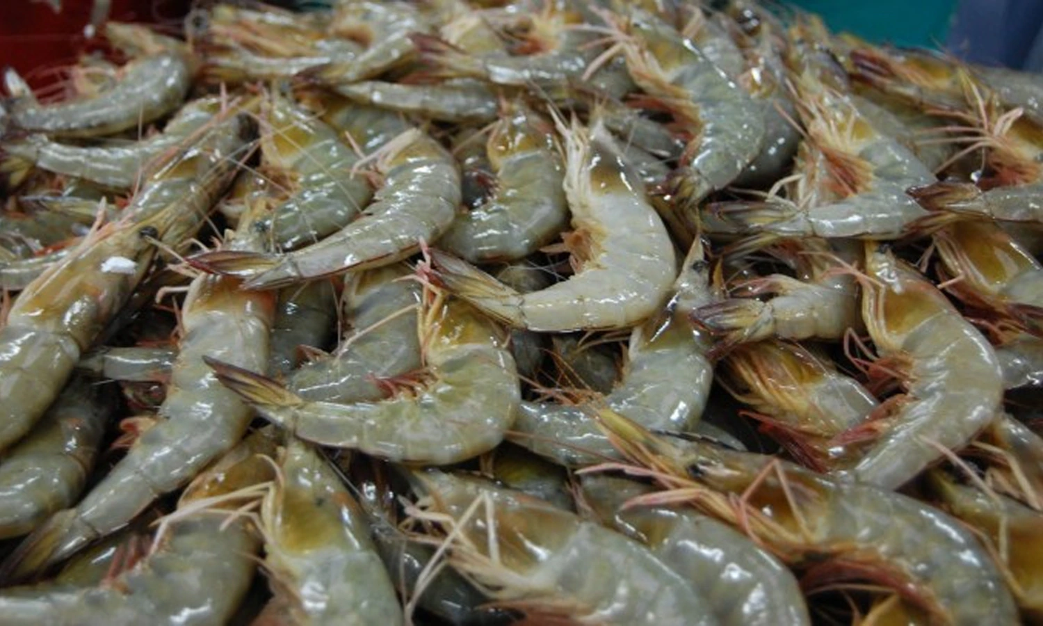 Keseringan Makan Makanan Mentah, Wanita di Thailand Alami Kebutaan