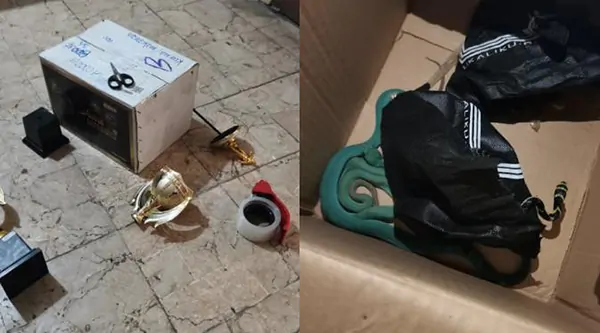 Berkamuflase Kirim Piala, Penyelundupan Ular Berbisa Digagalkan Jasa Ekspedisi