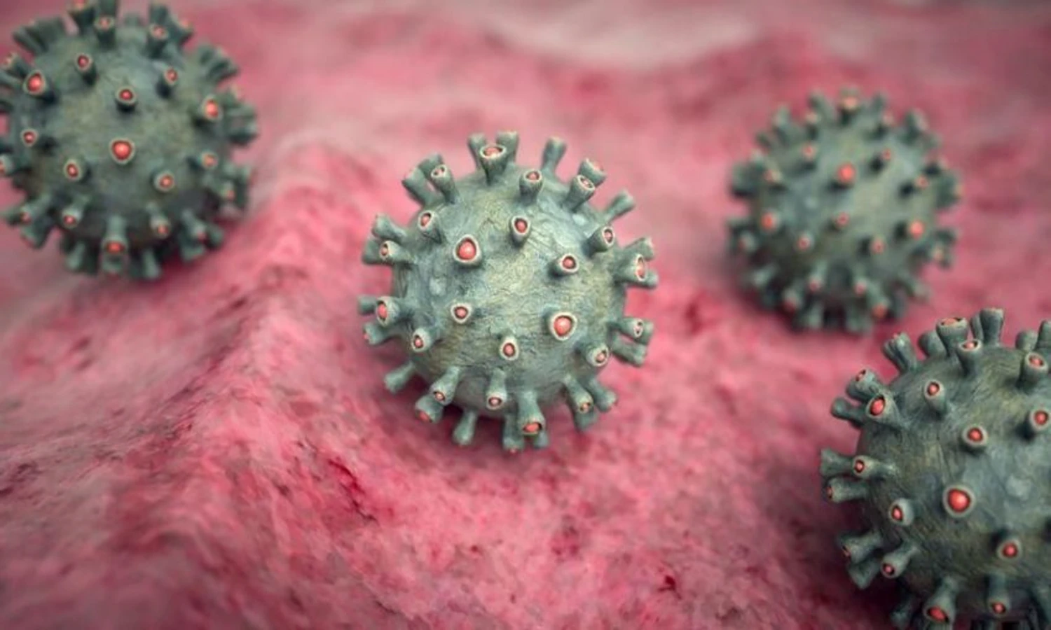 Apa itu Virus Marburg? Wabah Baru di Dunia yang Mematikan