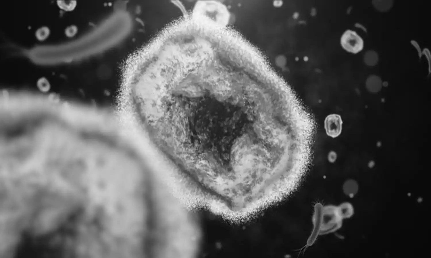 Virus Cacar Monyet Bisa 'Hidup' di Benda Mati