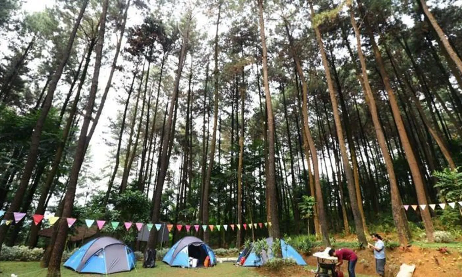 10 Tempat Wisata Alam di Bogor yang Murah, Cocok Untuk Healing