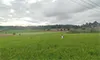 parboaboa