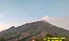 parboaboa
