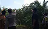 parboaboa
