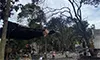 parboaboa