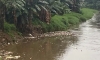 parboaboa