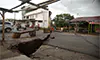 parboaboa