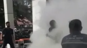 parboaboa