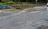 parboaboa