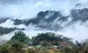 parboaboa