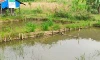 parboaboa