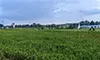 parboaboa