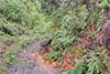 parboaboa