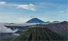 parboaboa