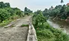 parboaboa