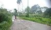 parboaboa