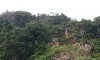 parboaboa