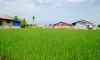parboaboa
